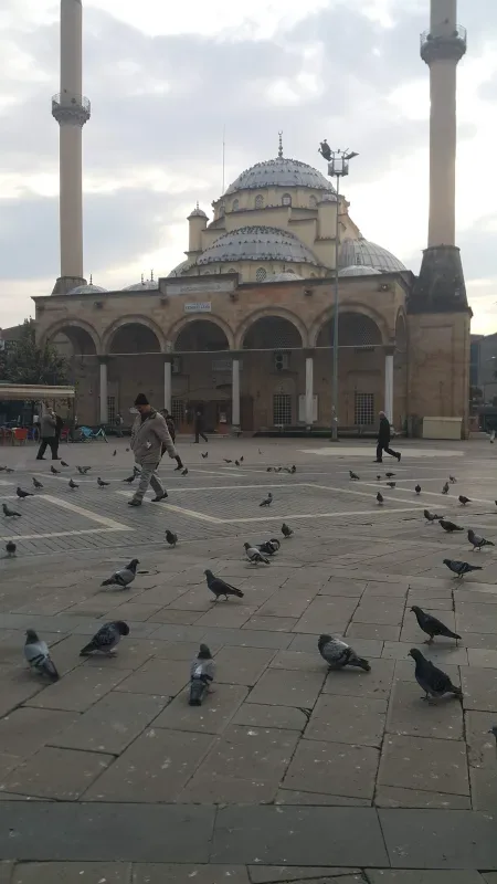 Duzce
