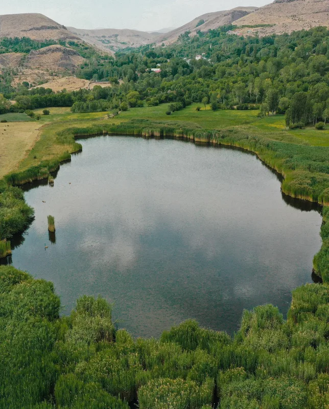 Igdir