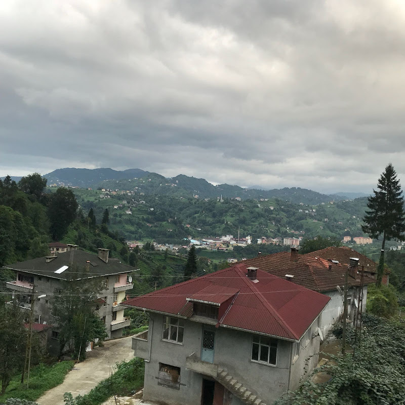 Doğa Kutlu Apart