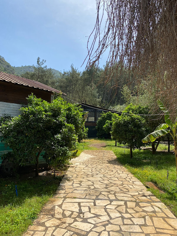 Olympos Camlik Pension