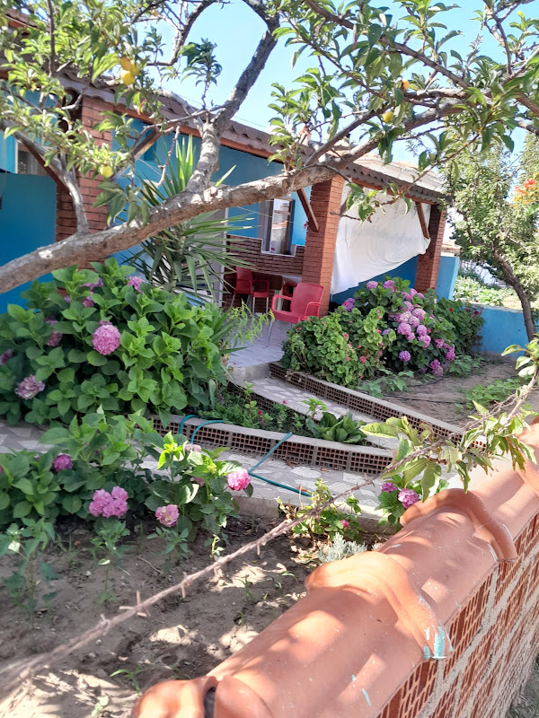 Altin Pension