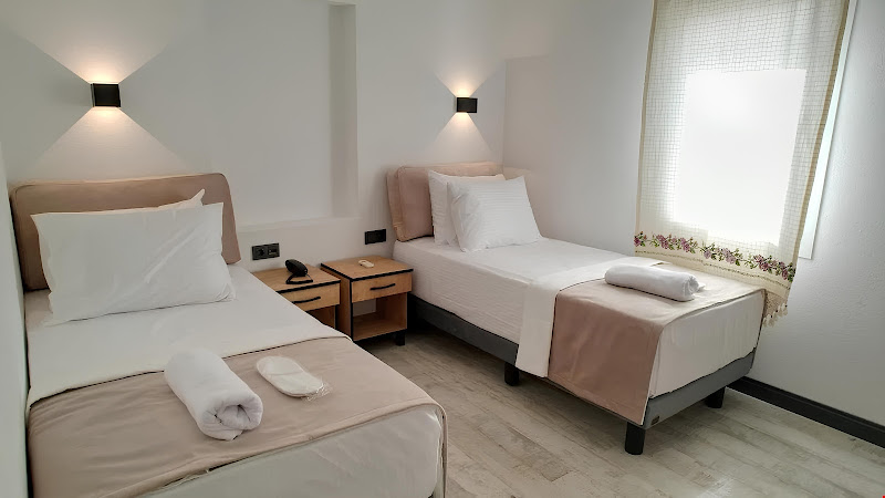The Professor's Hotel