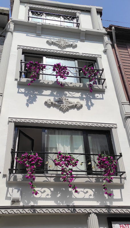 Hotel Estambul