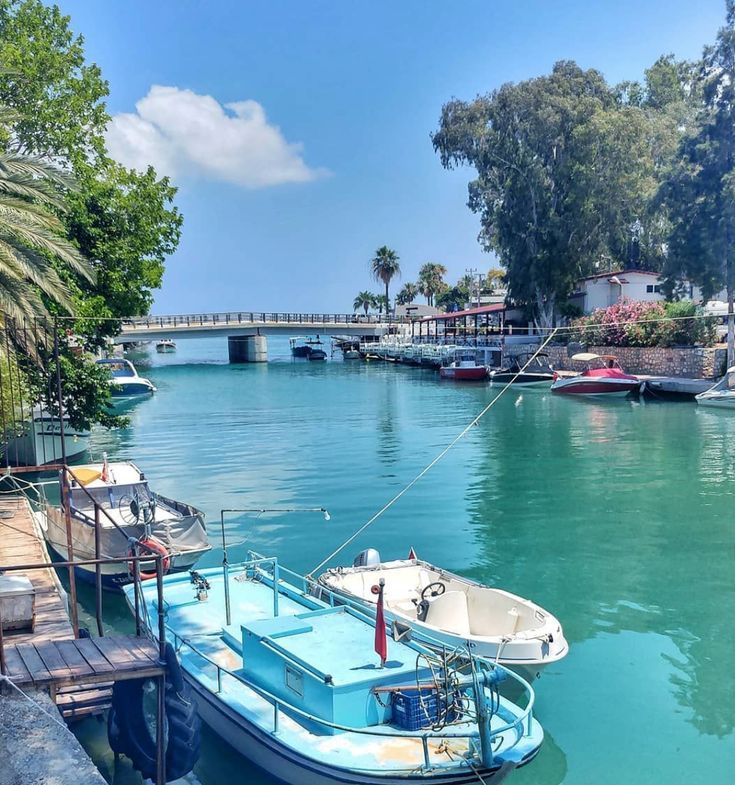 arsuz dolphin hotel