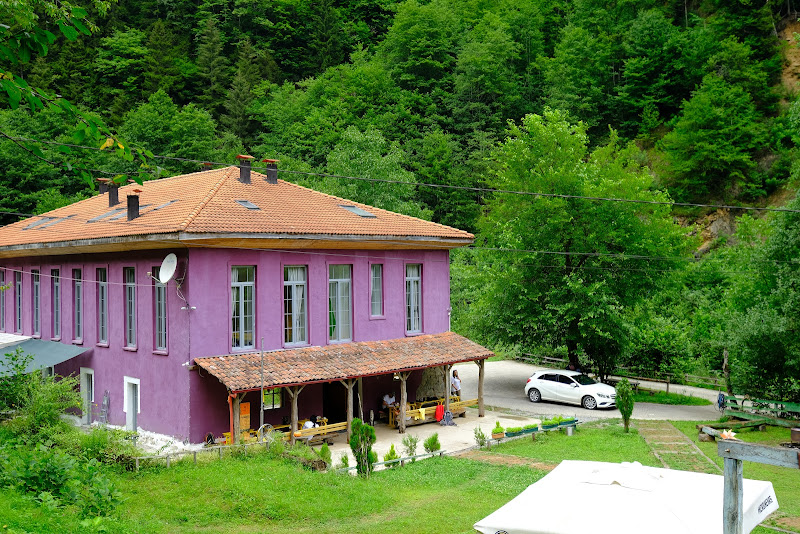 Nordic Otel