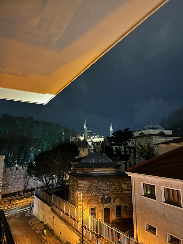 PALMERA HAGIA SOPHIA