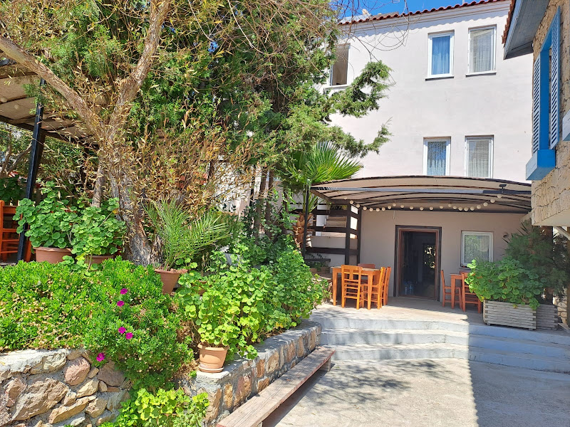 Olive Suite Hostel