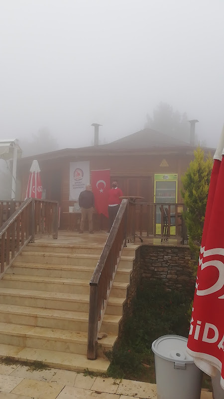 Bağbaşı Yaylası Bungalov Evleri