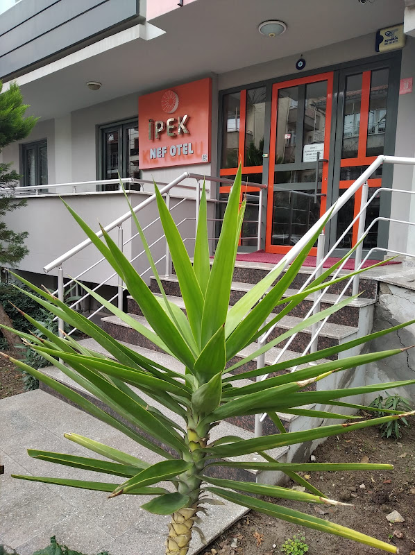 NEF İPEK OTEL
