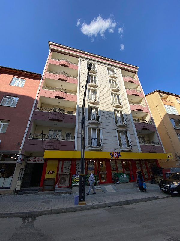 DİCLE BAYAN APART