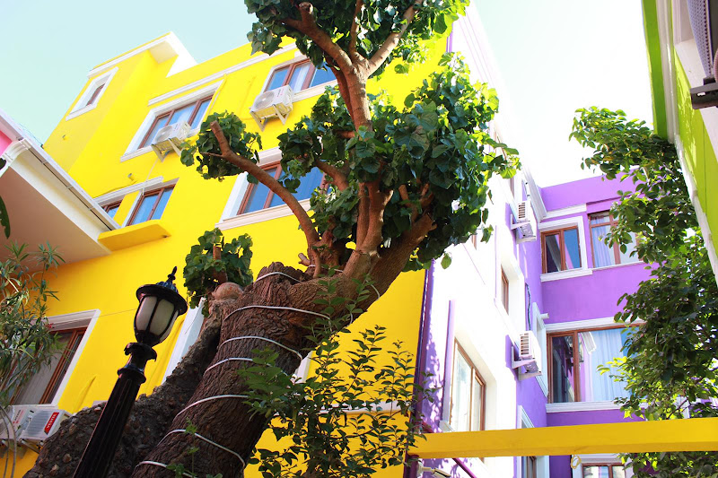 THE XANADU HOTEL