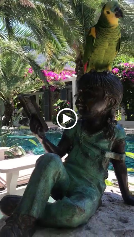 Hotel Flamingo