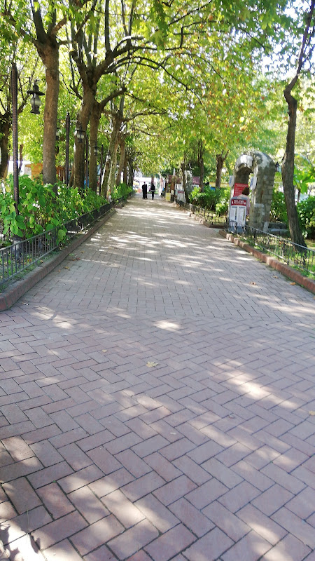 Karadeniz Pansiyon