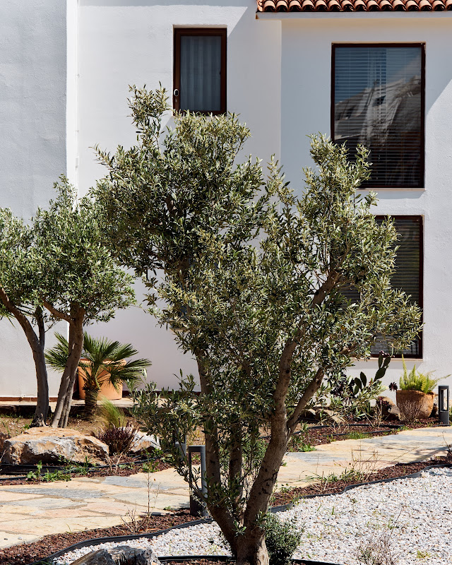 CASA CARIA HOTEL
