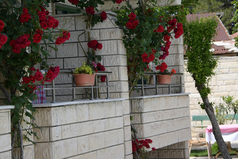 HOTEL HAL-TUR