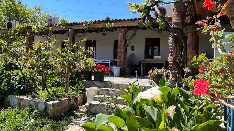 Guler Pension
