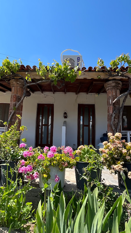 Guler Pension